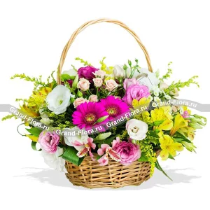 Мечты о тебе